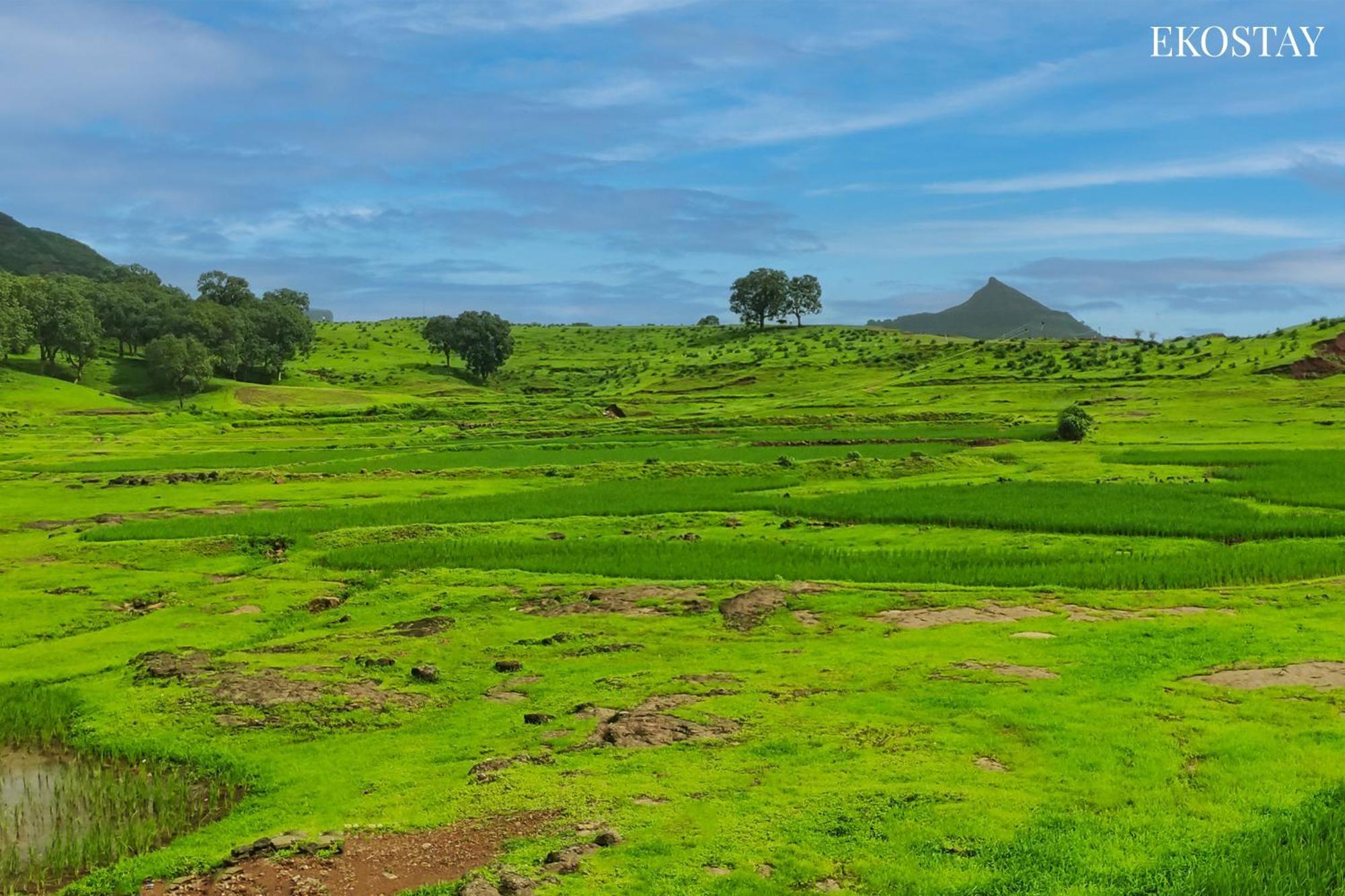 Ekostay - Neptune Villa Igatpuri Eksteriør bilde